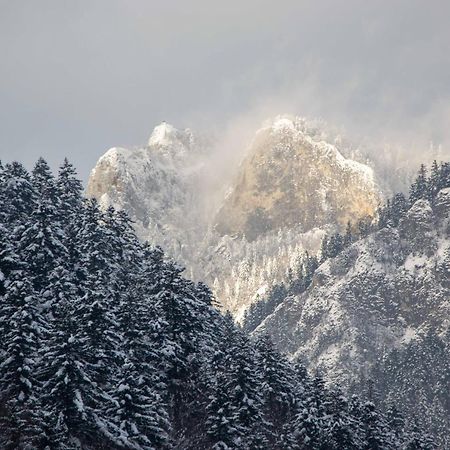 Ubytovanie U Jozefa Červený Kláštor Dış mekan fotoğraf